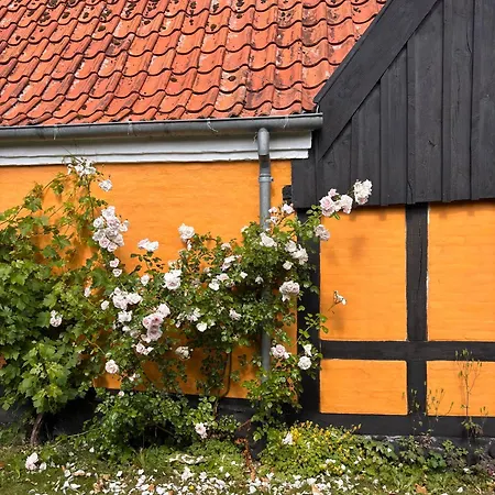 Historic Townhouse In The Heart Of